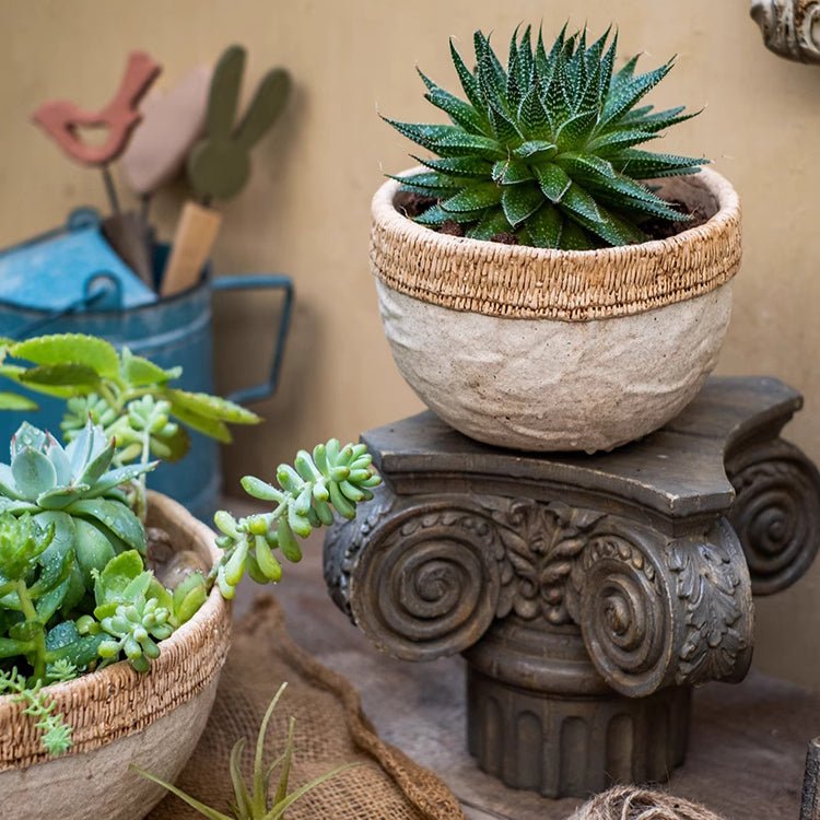 Rattan Pattern Edge Cement Planter, view 3