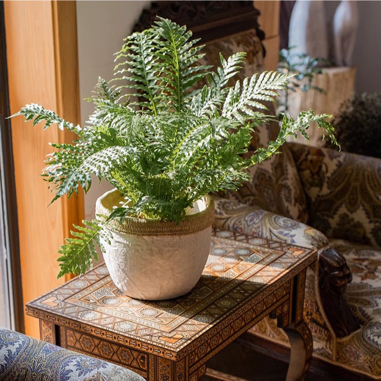 Rattan Pattern Edge Cement Planter, view 4