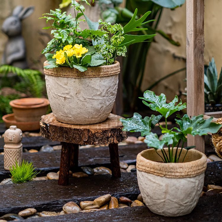 Rattan Pattern Edge Cement Planter, view 5