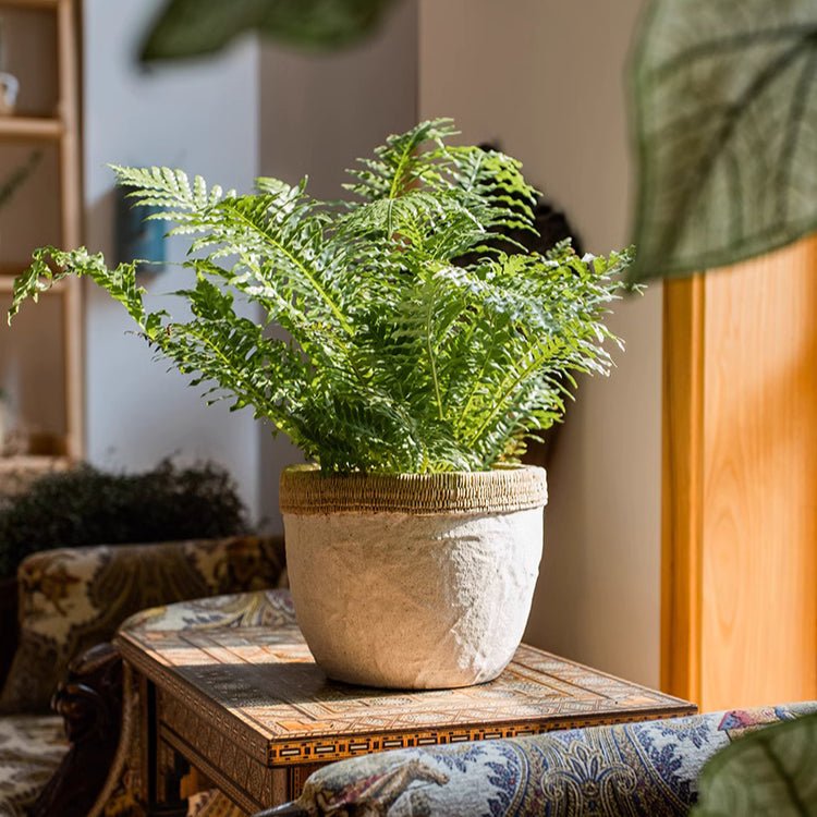Rattan Pattern Edge Cement Planter, view 6