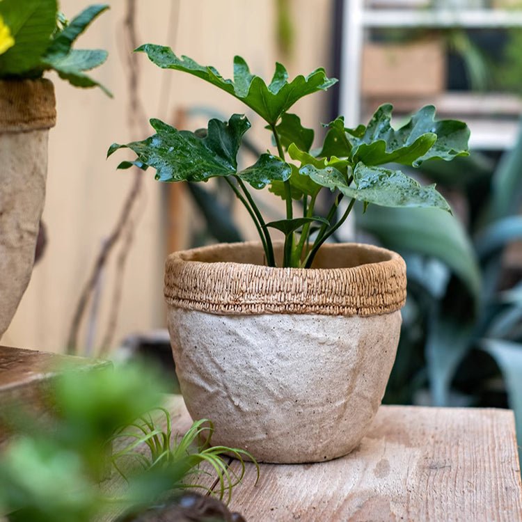 Rattan Pattern Edge Cement Planter, view 7