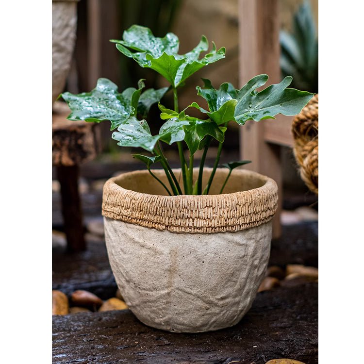 Rattan Pattern Edge Cement Planter, view 8