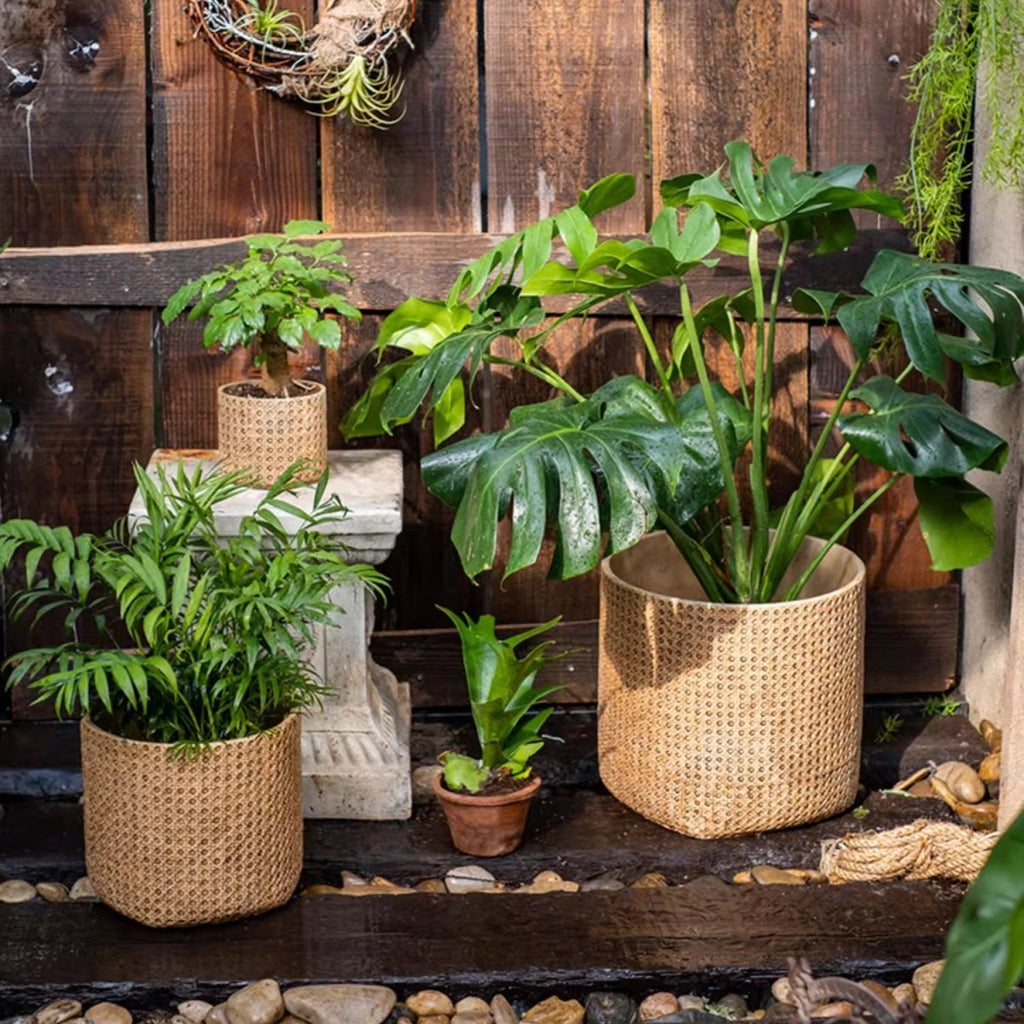 Rattan Texture Cement Planter, view 2