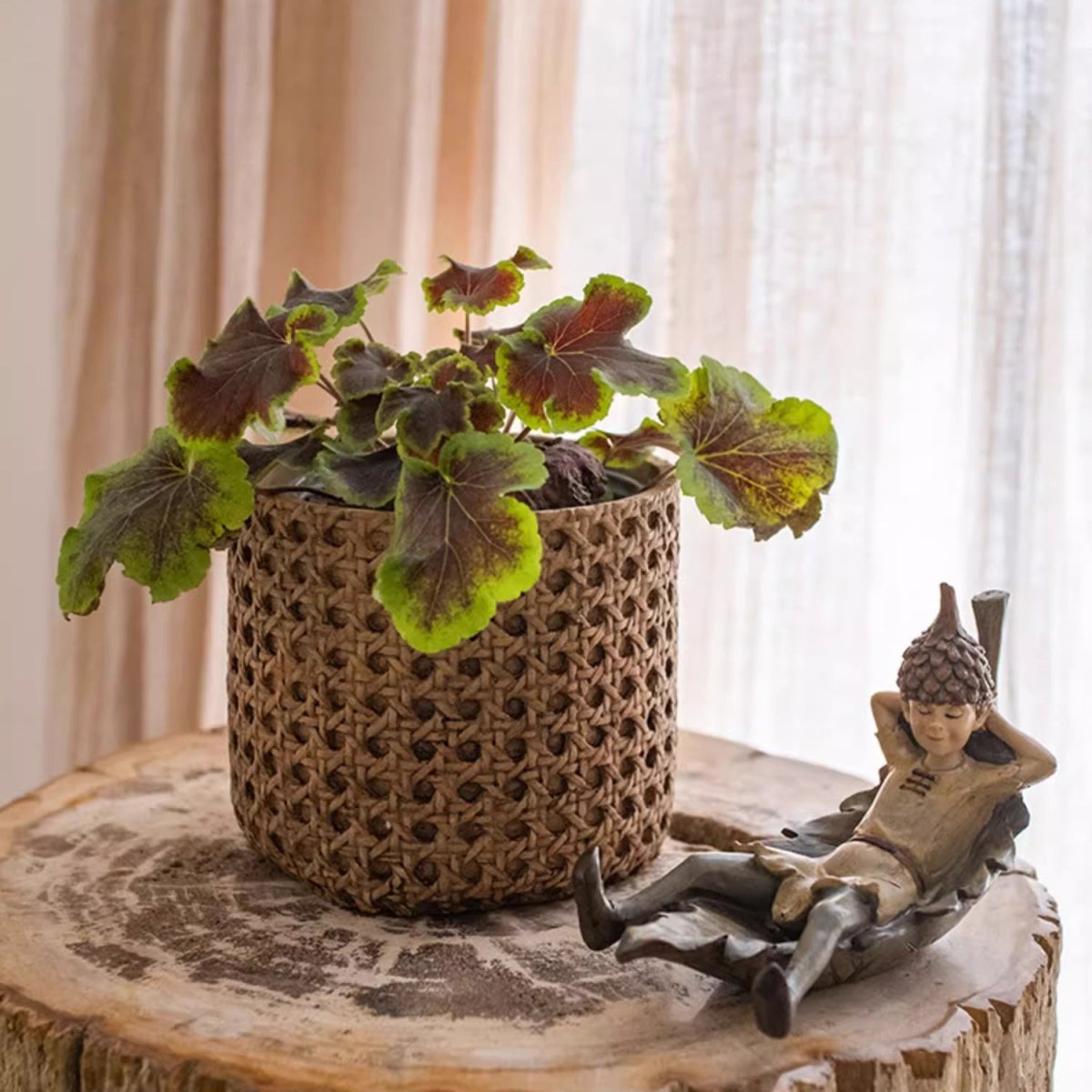 Rattan Texture Cement Planter, view 3