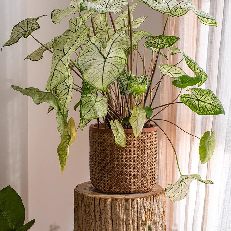 Rattan Texture Cement Planter, view 4