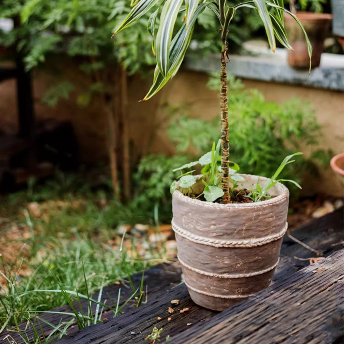 Tasha Red Terracotta Planter, view 2