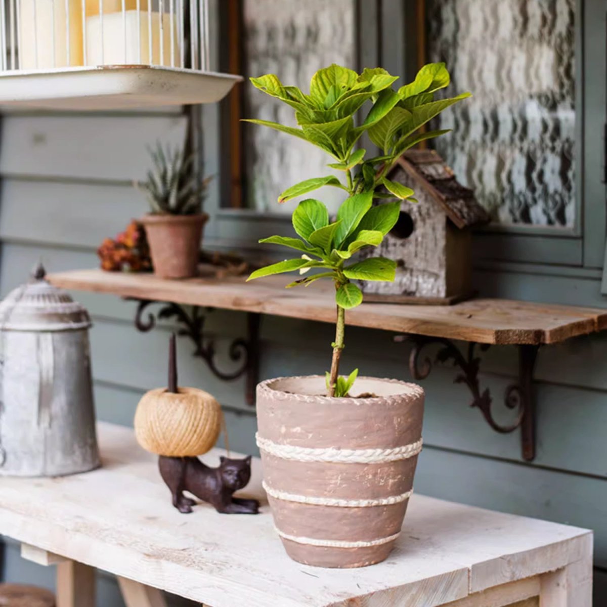 Tasha Red Terracotta Planter, view 4