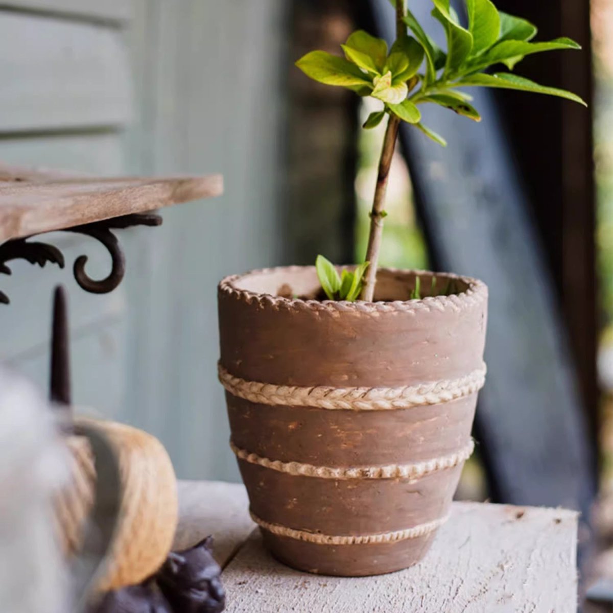 Tasha Red Terracotta Planter, view 6