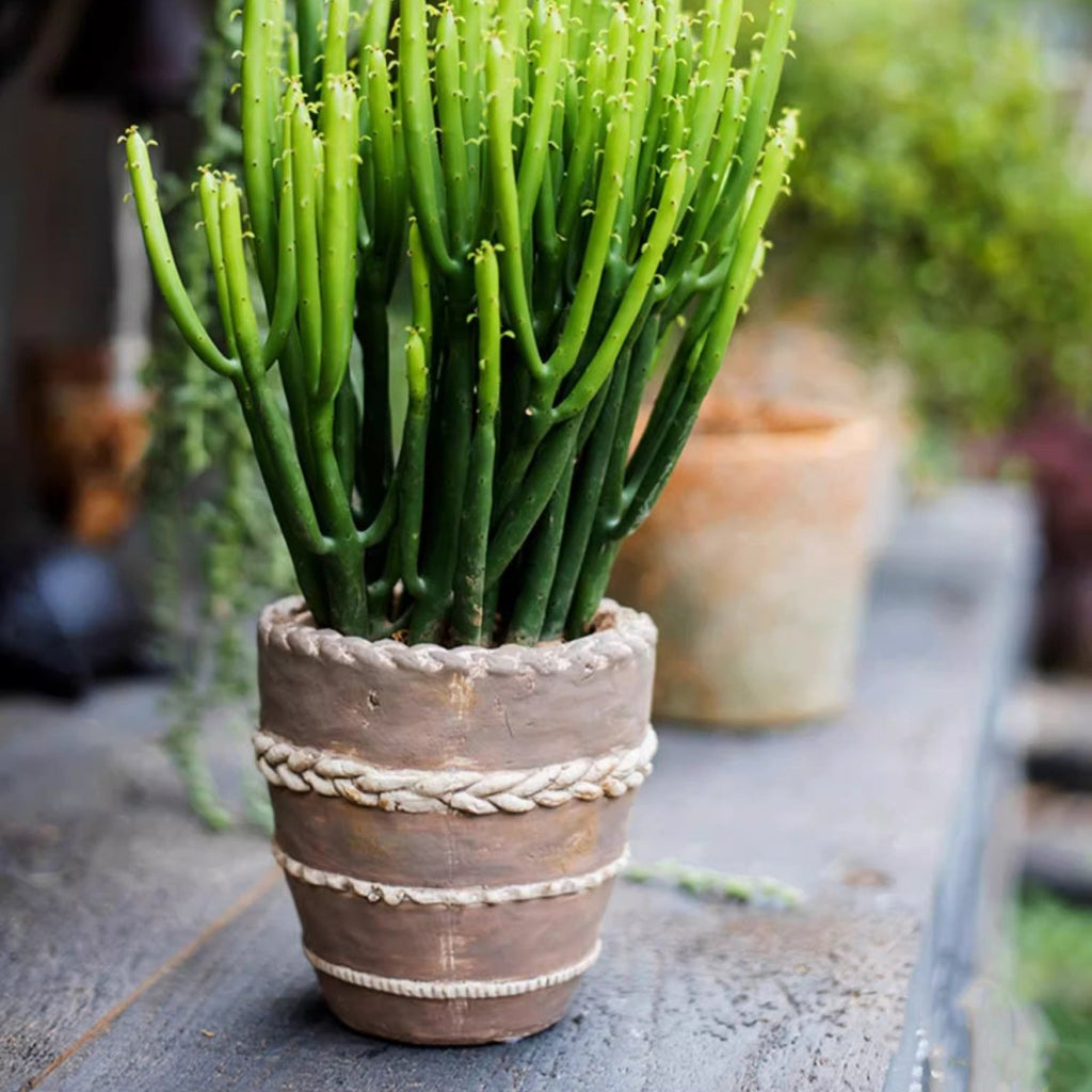 Tasha Red Terracotta Planter, view 7