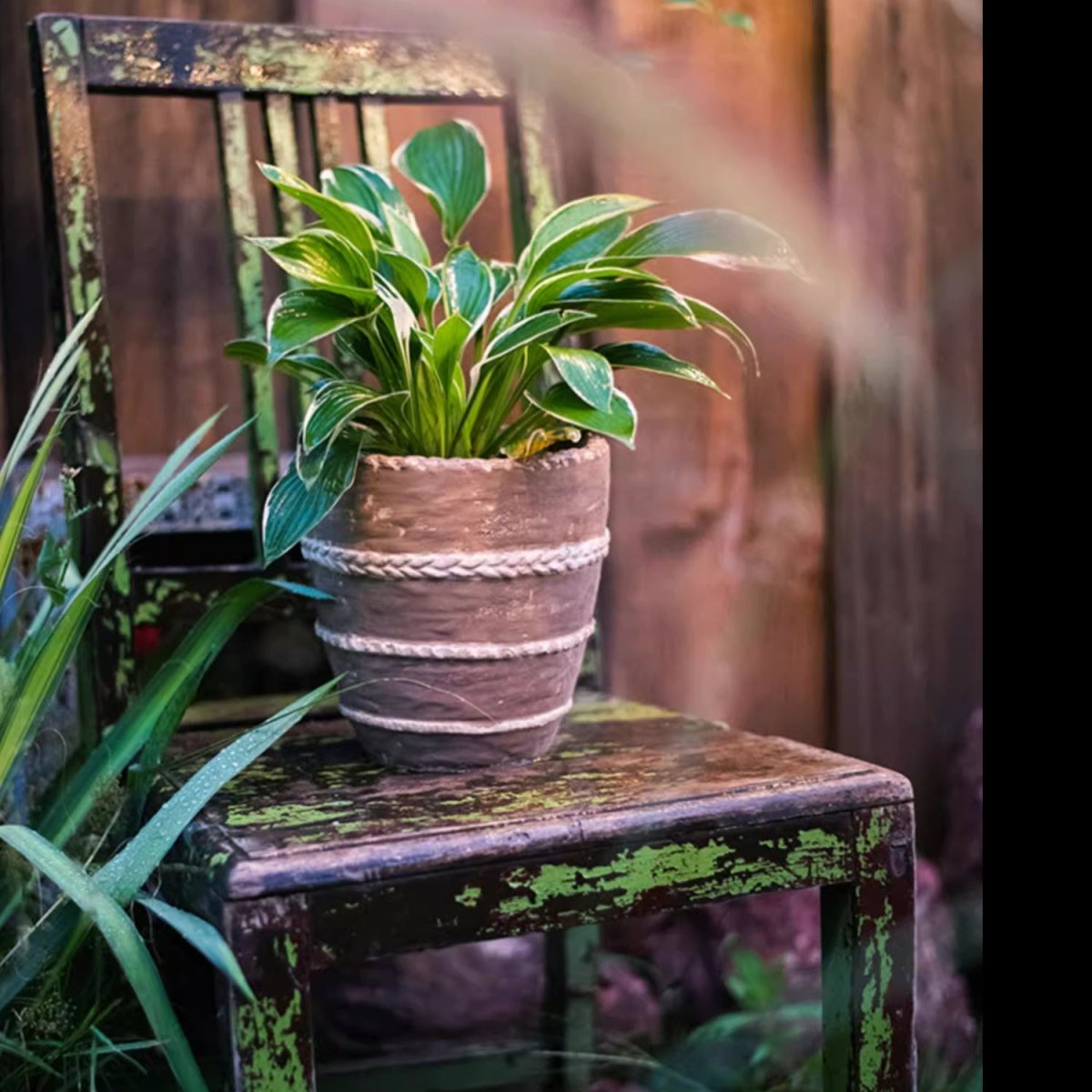 Tasha Red Terracotta Planter, view 8