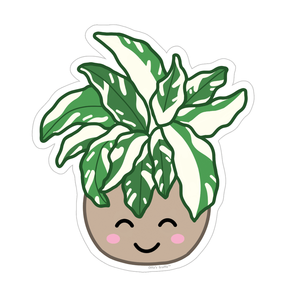 Rare Plant White Fusion Calathea Sticker, Variegated Calethea Sticker, Calethea Fusion White Sticker,