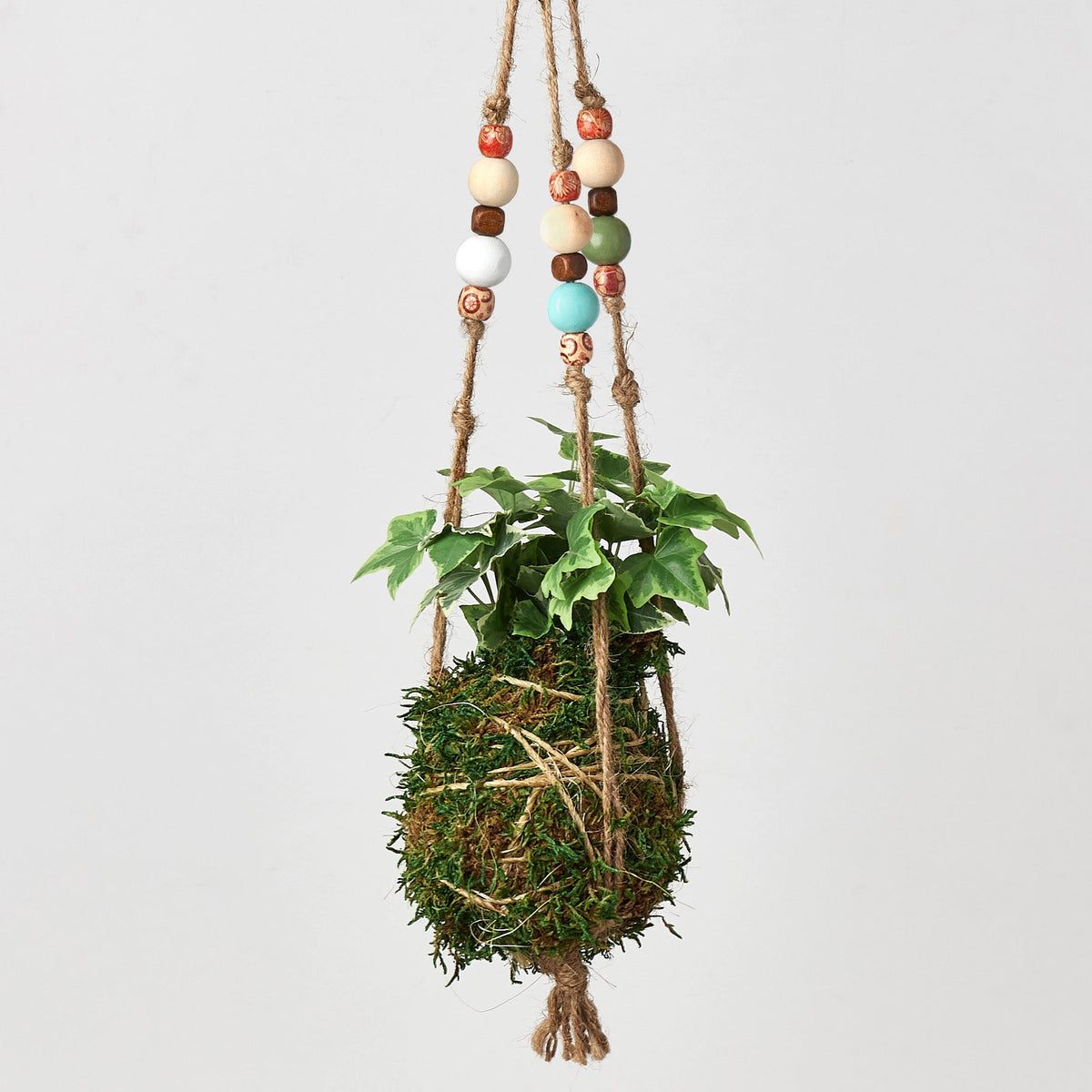 Bead Kokedama Moss Ball Hanging Plant, view 2