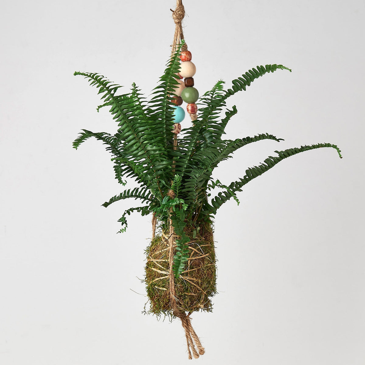 Bead Kokedama Moss Ball Hanging Plant, view 3