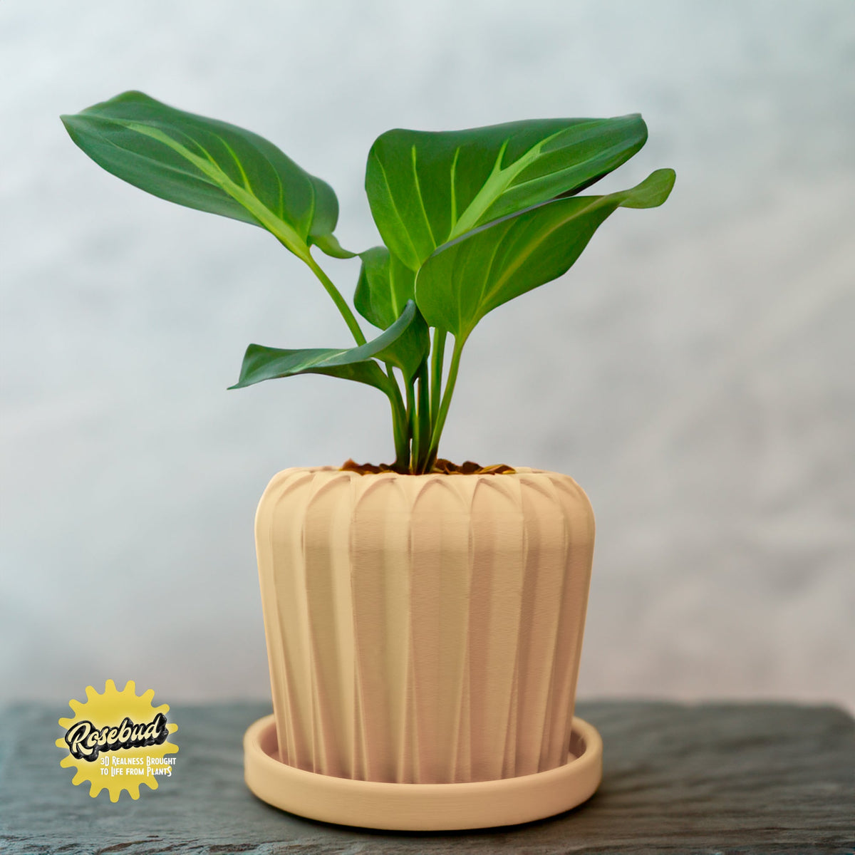 Lunar Bloom Plant Pot, view 8