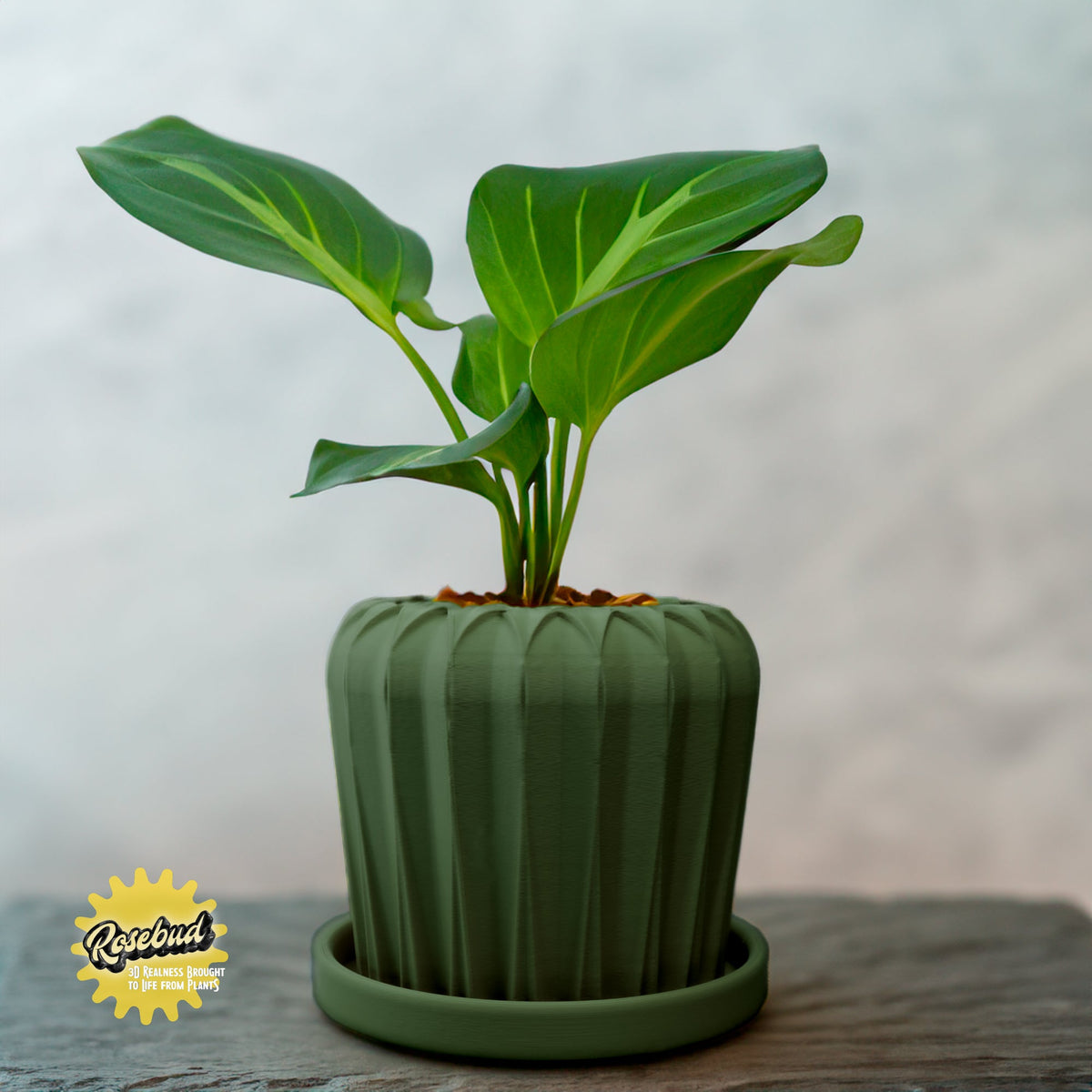 Lunar Bloom Plant Pot, view 5
