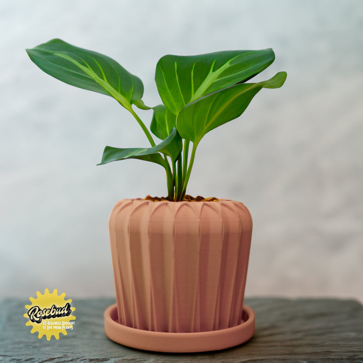 Lunar Bloom Plant Pot, view 7