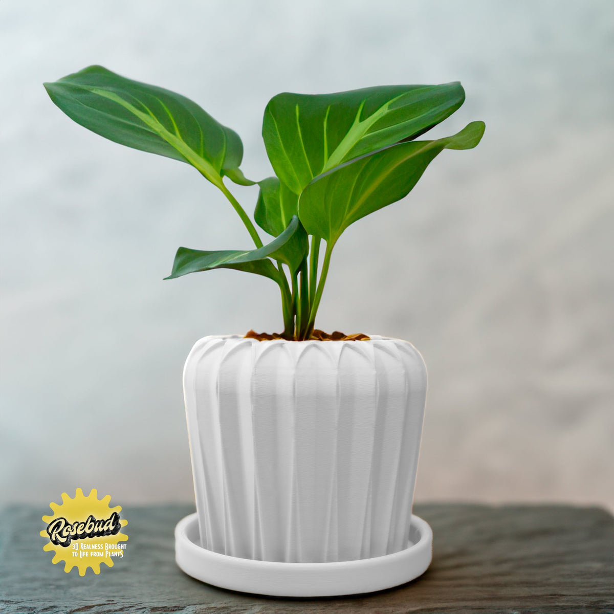 Lunar Bloom Plant Pot, view 6