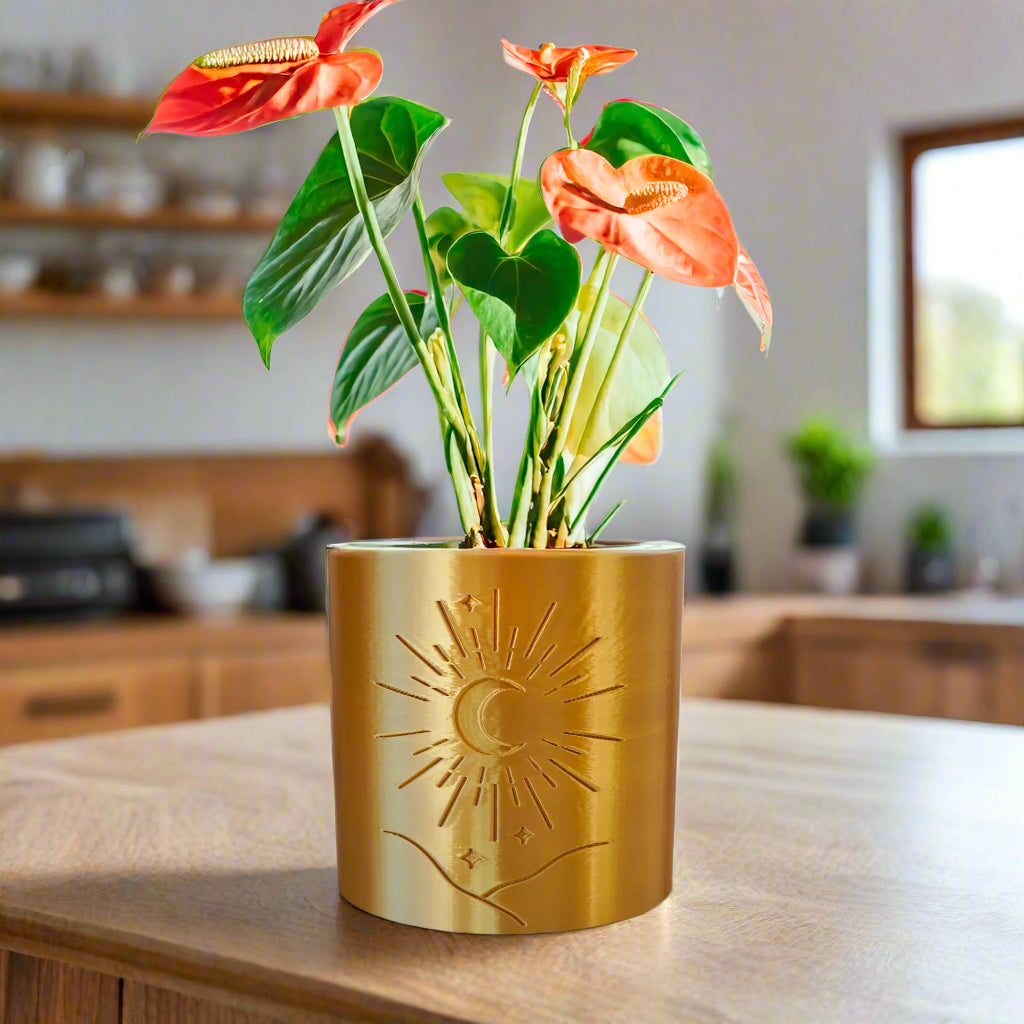 Moon Planter, view 2