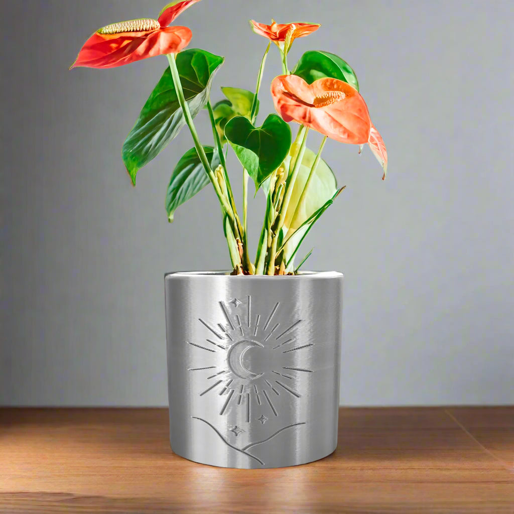 Moon Planter, view 5