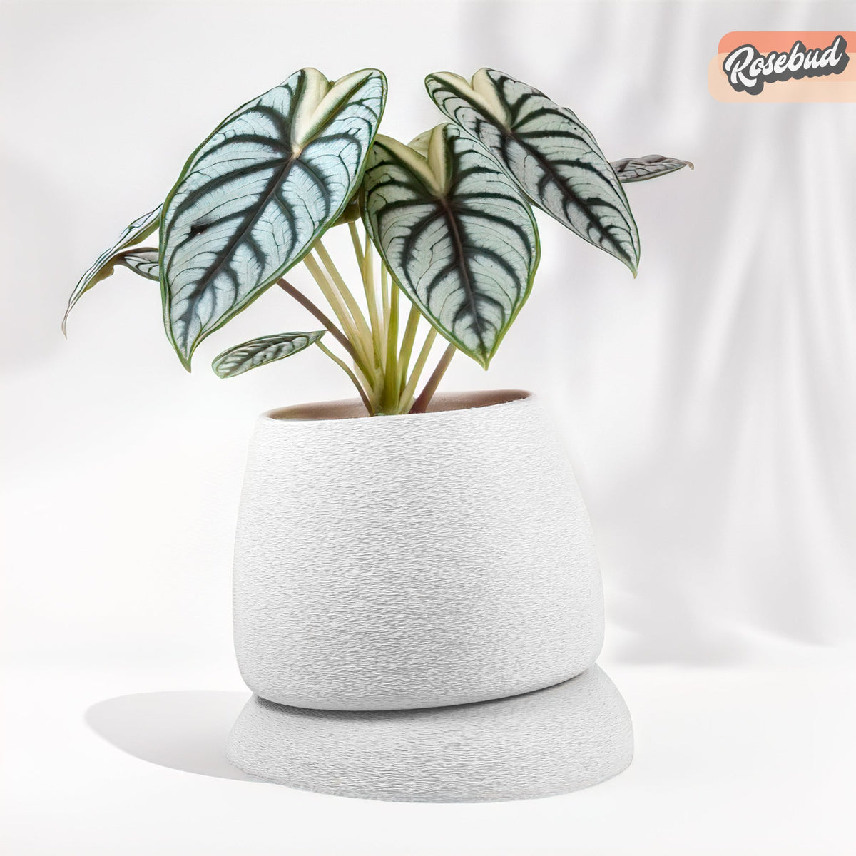 Nubium Planter, view 9