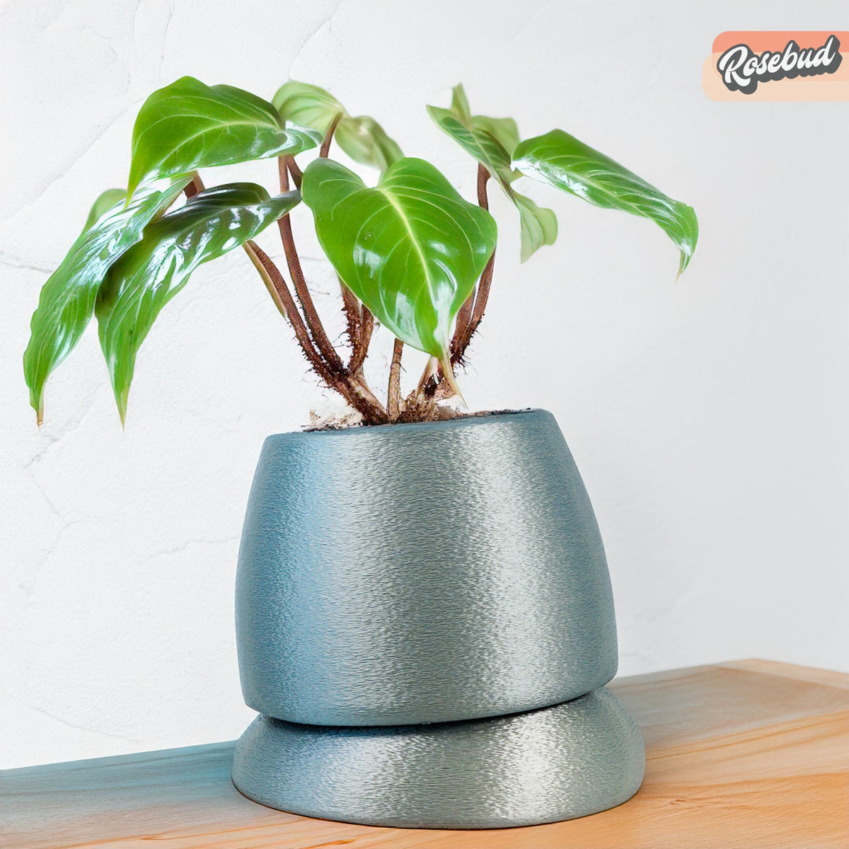 Nubium Planter, view 8