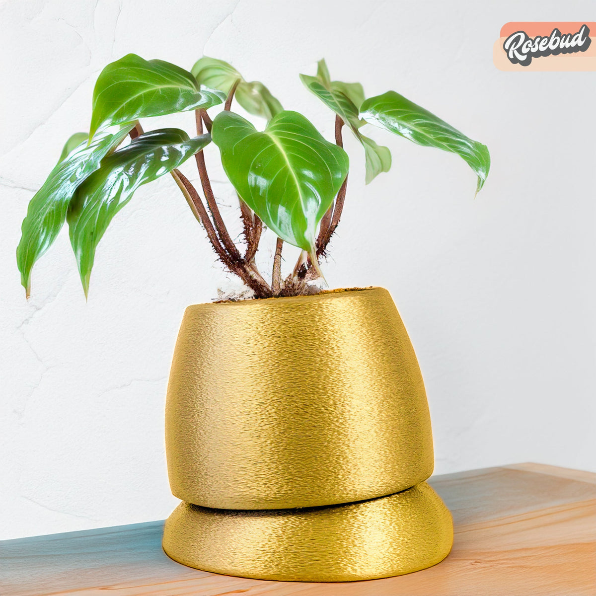 Nubium Planter, view 10