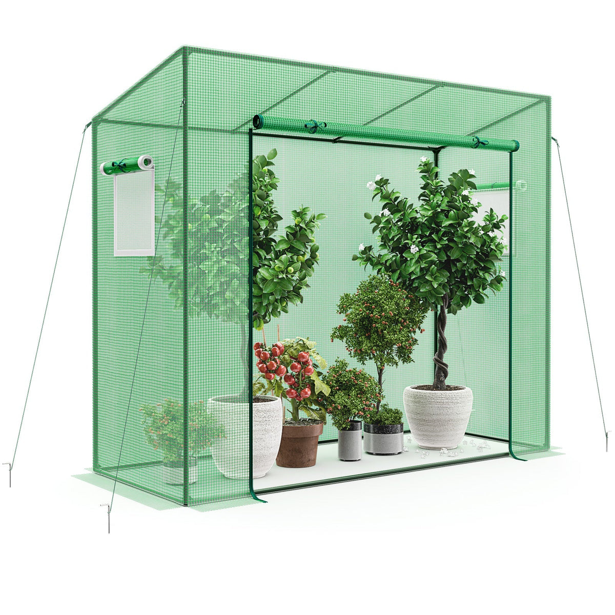 Outdoor Portable Walk-in Greenhouse with PE Cover Heavy-Duty Metal Frame Roll-up Zipper Door, view 3