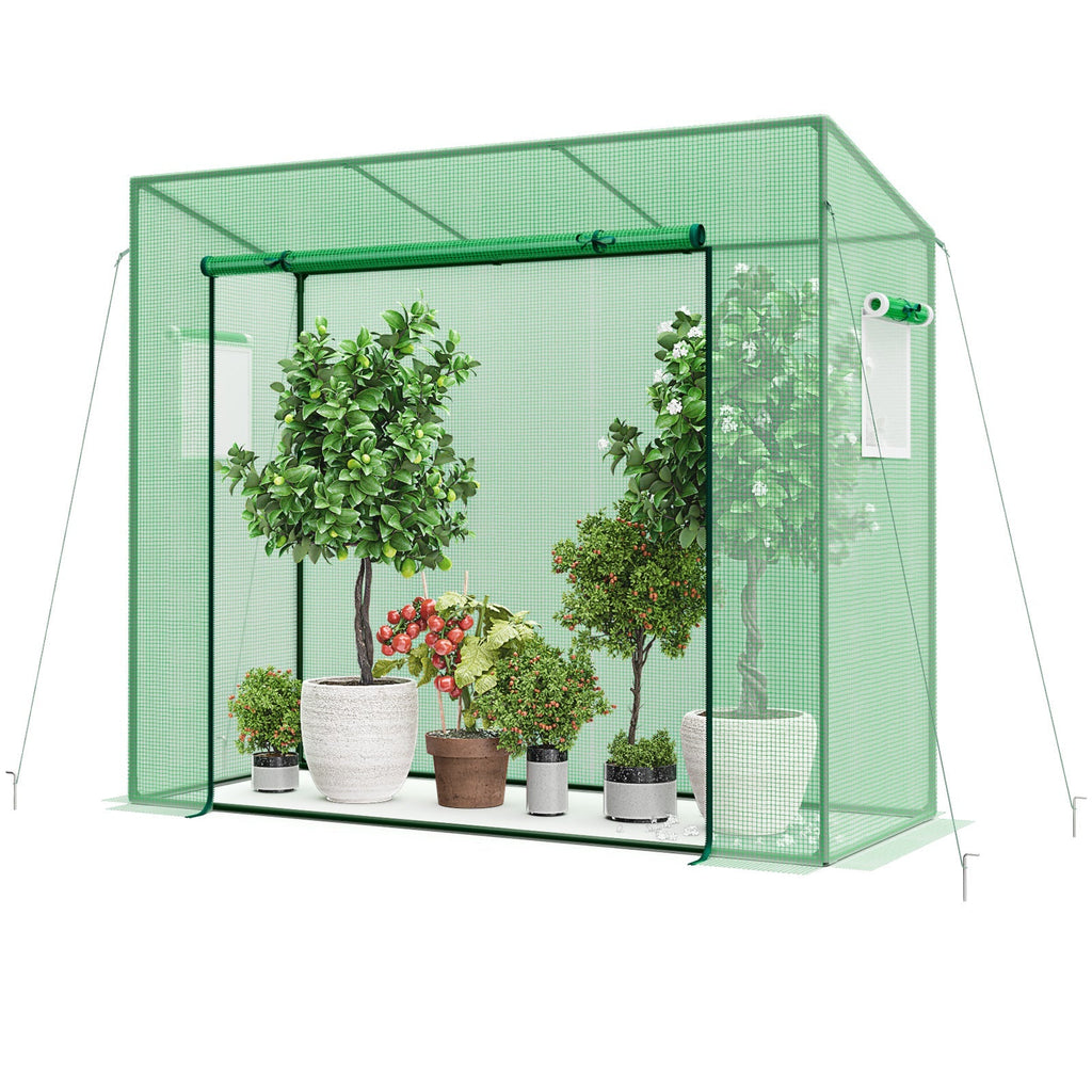 Outdoor Portable Walk-in Greenhouse with PE Cover Heavy-Duty Metal Frame Roll-up Zipper Door, view 4