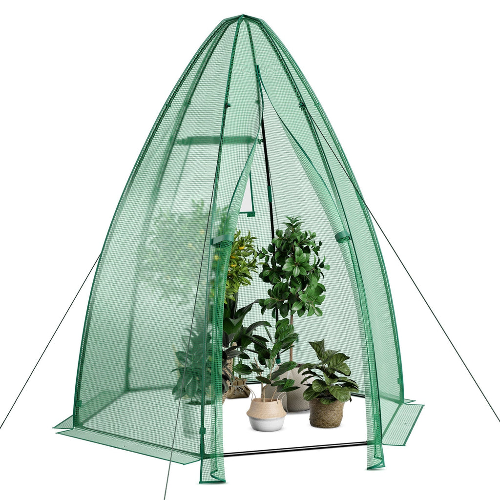 5.5 x 5.5 x 6 Feet Portable Mini Greenhouse with All-Weather PE Cover, view 4