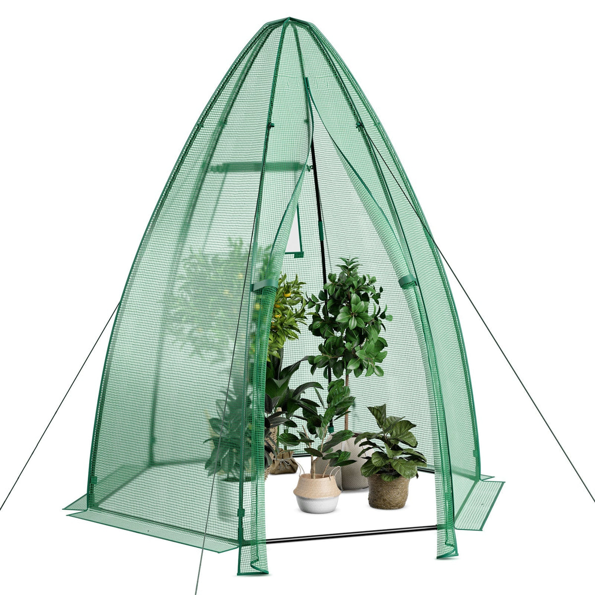 5.5 x 5.5 x 6 Feet Portable Mini Greenhouse with All-Weather PE Cover, view 4