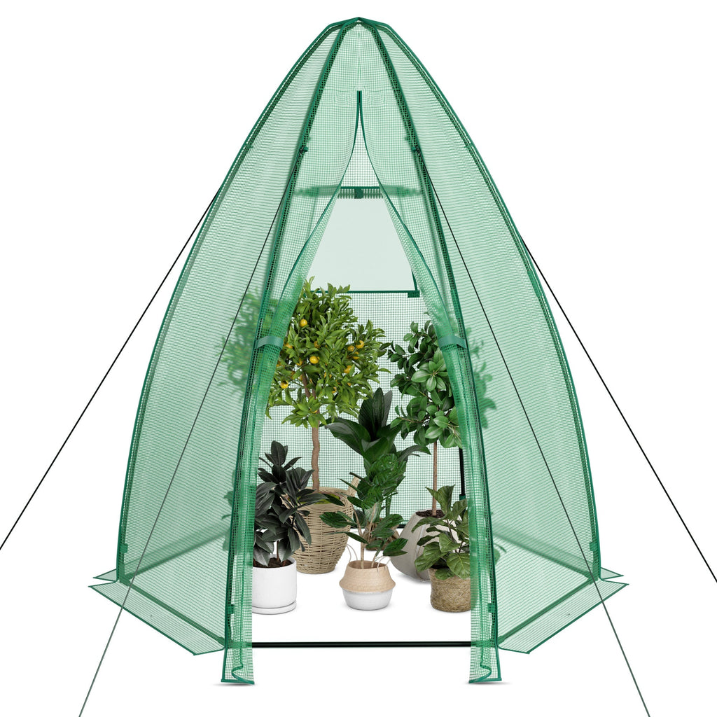 5.5 x 5.5 x 6 Feet Portable Mini Greenhouse with All-Weather PE Cover, view 6