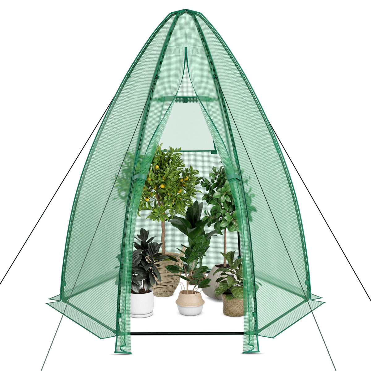 5.5 x 5.5 x 6 Feet Portable Mini Greenhouse with All-Weather PE Cover, view 6