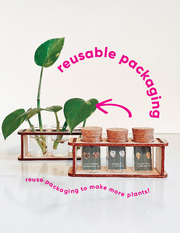 Custom Etched Propagation Stand + 3 Set Tiny Houseplant Earring Studs, view 4