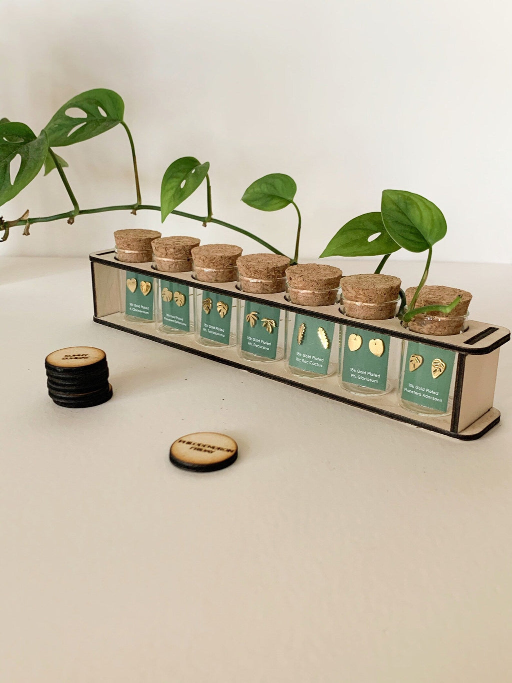 Custom Etched Propagation Stand + 3 Set Tiny Houseplant Earring Studs, view 12