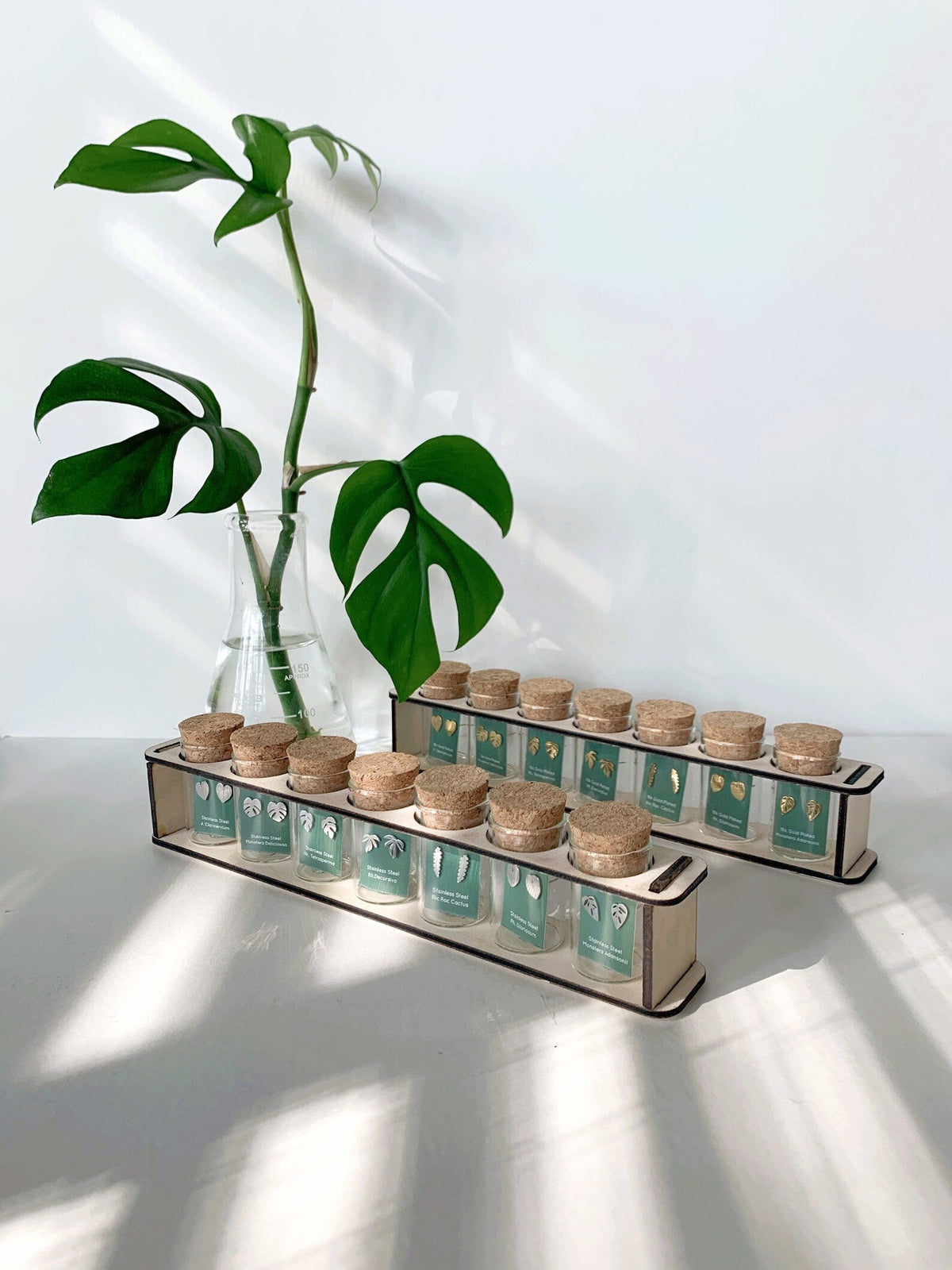Custom Etched Propagation Stand + 3 Set Tiny Houseplant Earring Studs, view 14