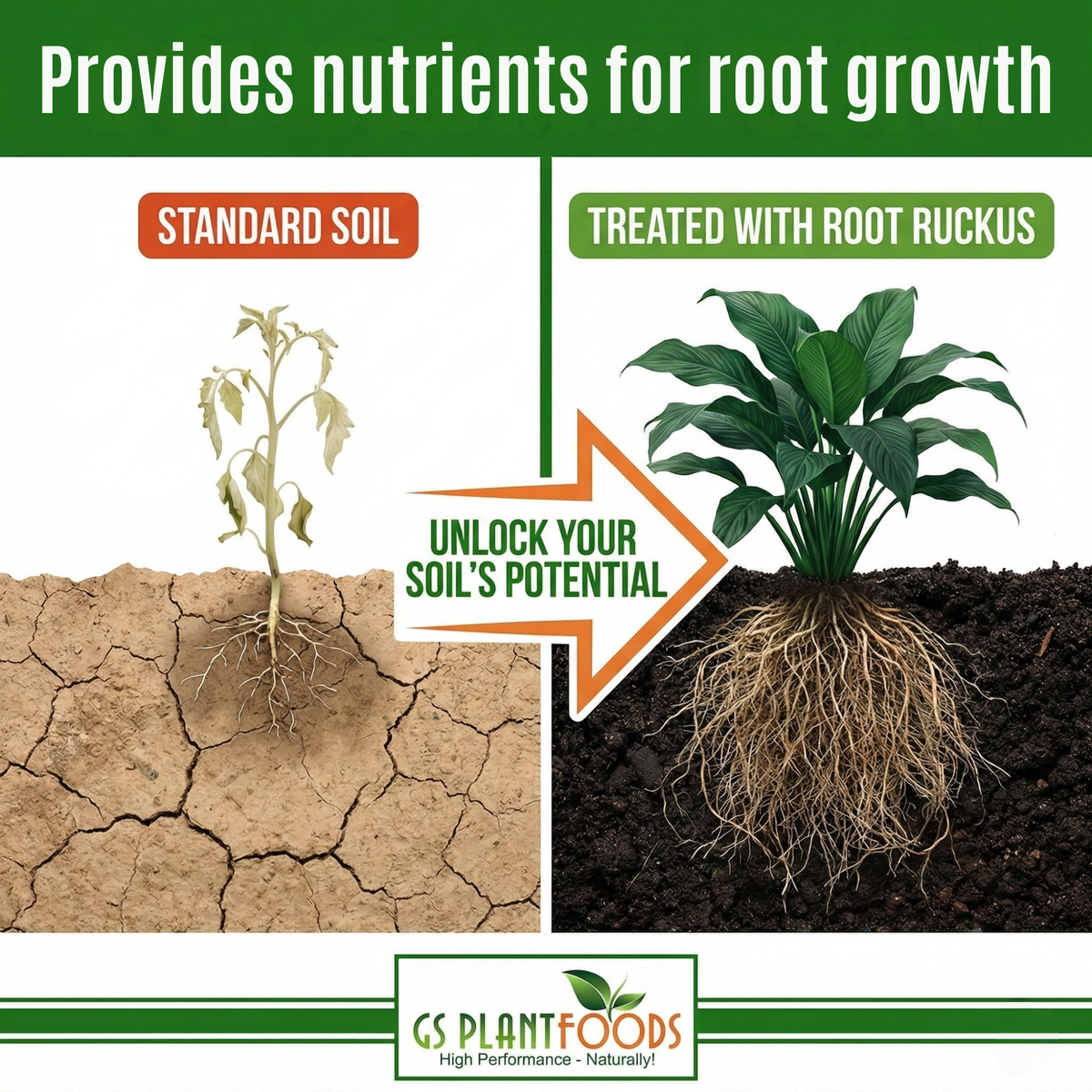 Root Ruckus! Turbo Charged Liquid Compost, view 3