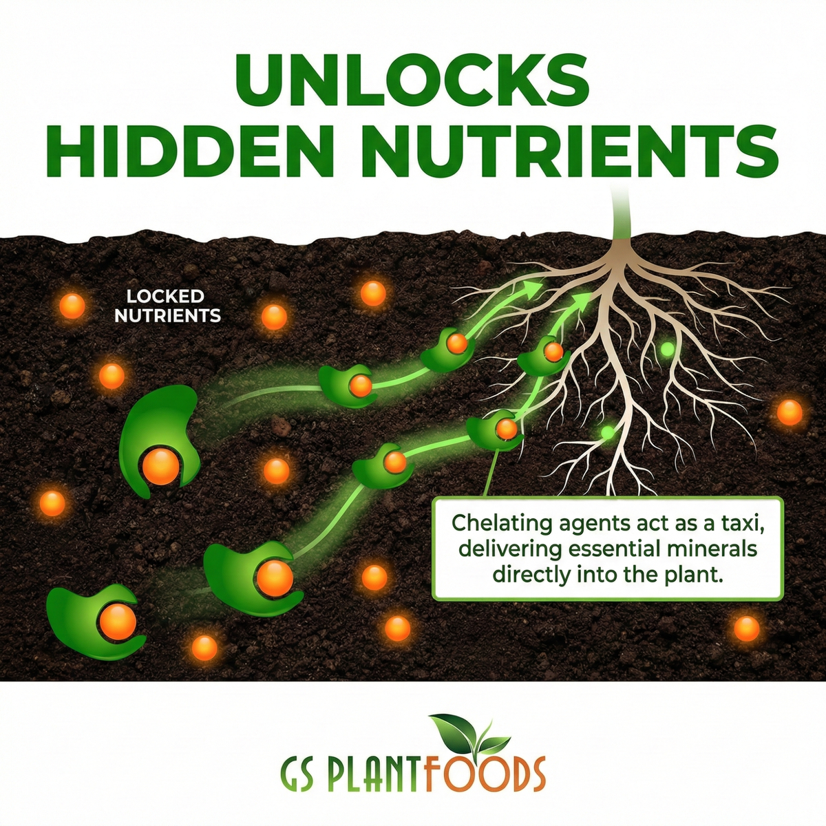 Root Ruckus! Turbo Charged Liquid Compost, view 4