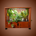 Aquager Home Farm — 24 Plants