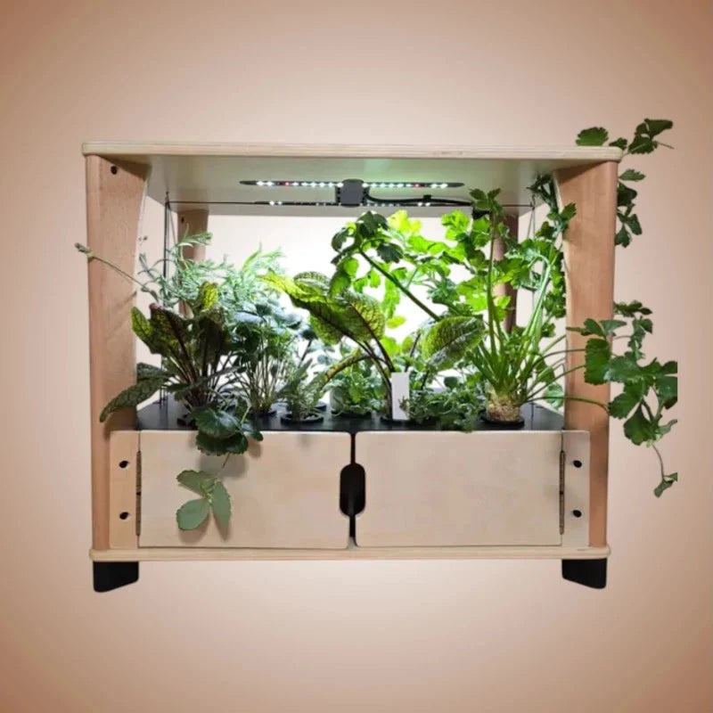 Aquager Home Farm — 24 Plants, view 2