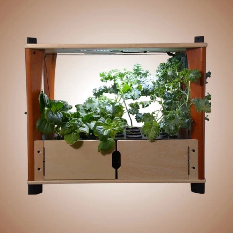 Aquager Home Farm — 24 Plants, view 4