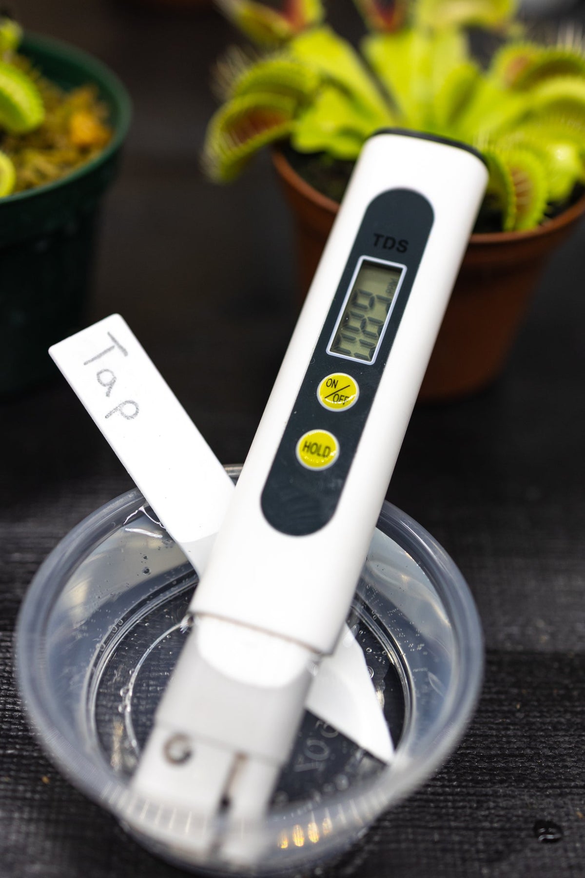 TDS Meter - Measure Total Dissolved Solids - Carnivorous Plants, Drinking Water, view 3