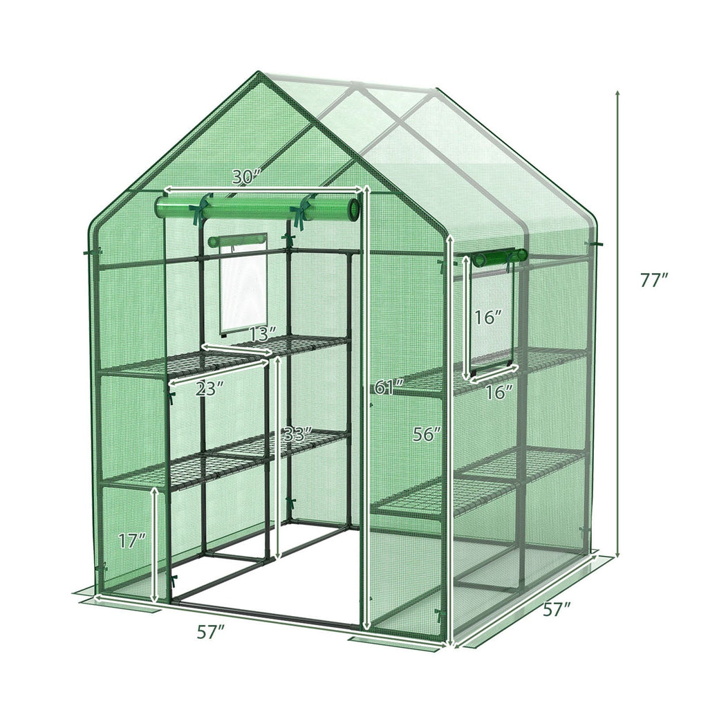 Walk-in Greenhouse 56 x 56 x 77 Inch Gardening with Observation Windows, view 4