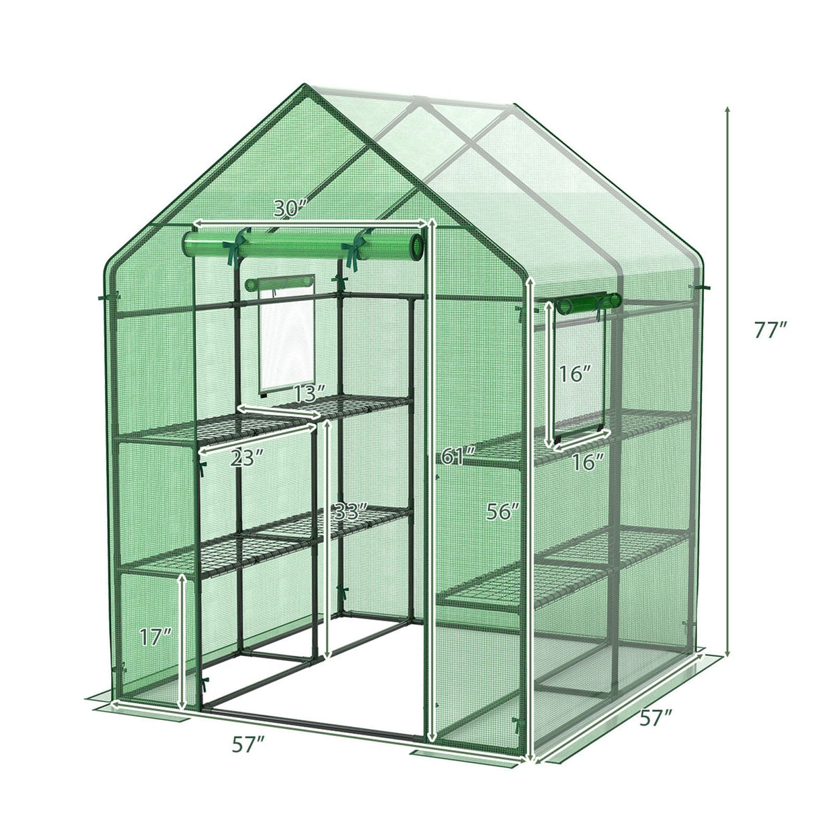 Walk-in Greenhouse 56 x 56 x 77 Inch Gardening with Observation Windows, view 4