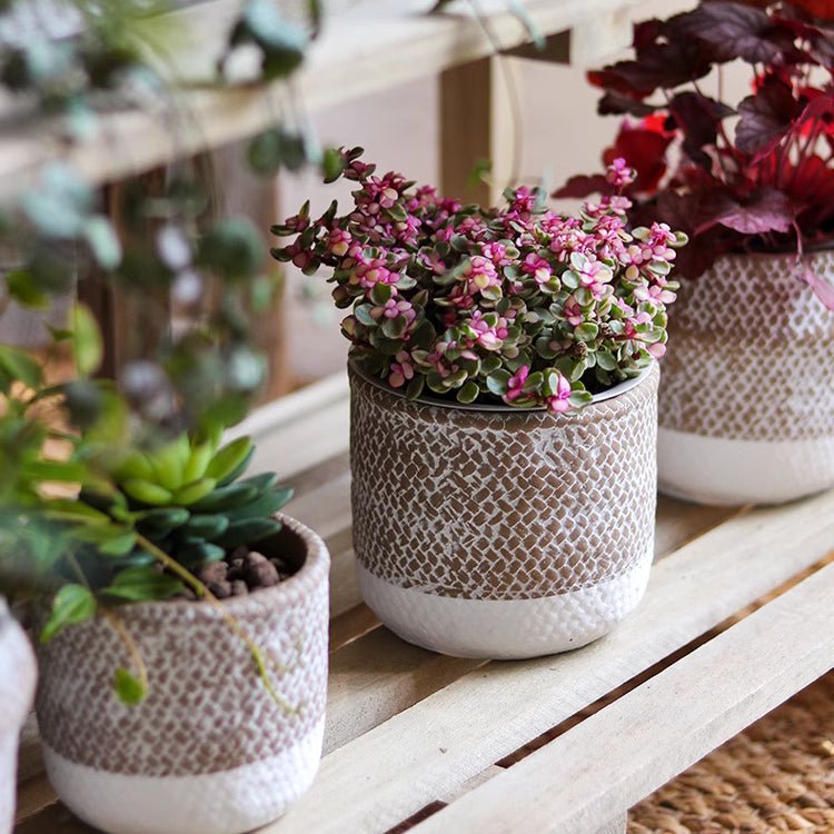 Boho Straw-Look Flower Planter, view 9