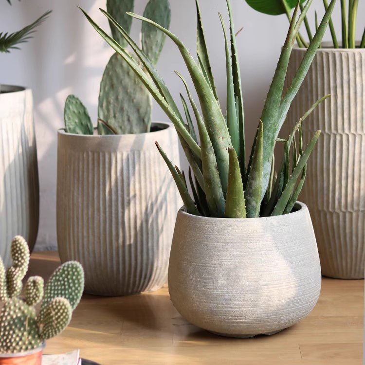 Rustic Globe Cement Planter, view 4