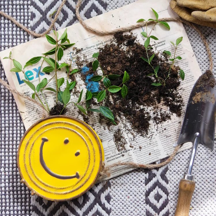 Happy Face Hanging Planter, view 6