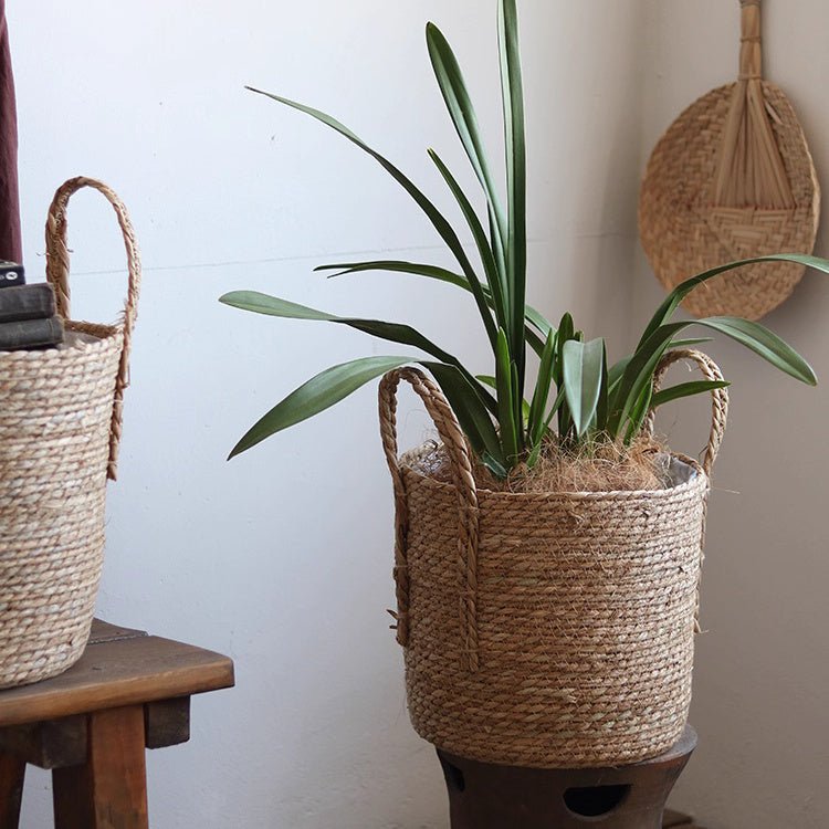Handwoven Seagrass Basket for Plants, view 6