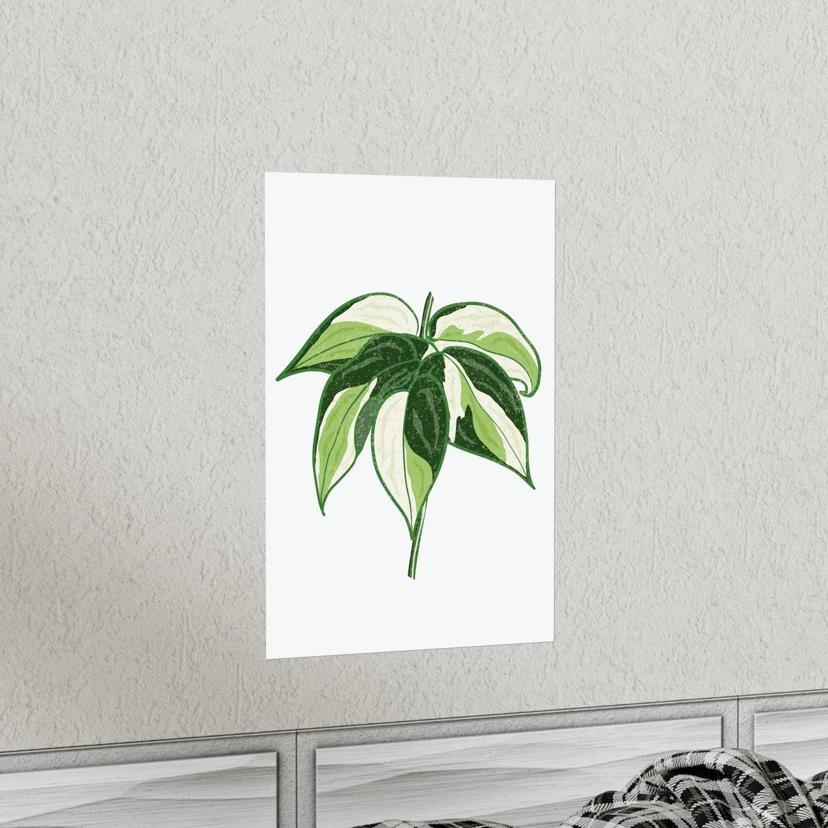 Philodendron Cream Splash Botanical Print – Unframed Wall Art