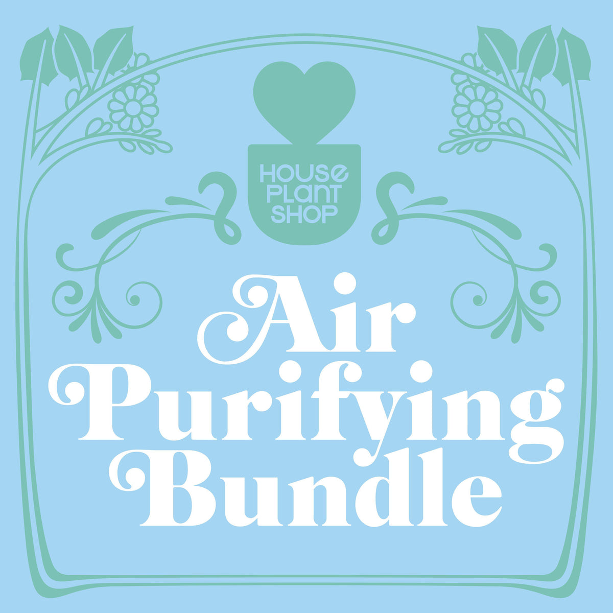 Air purifying houseplant variety bundle, view 3