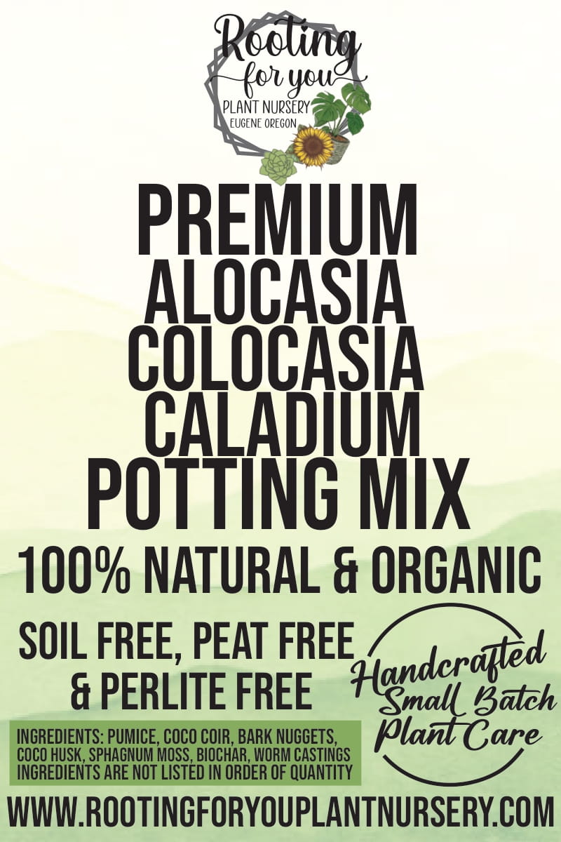 Alocasia - Colocasia - Caladium Premium Potting Mix, view 2